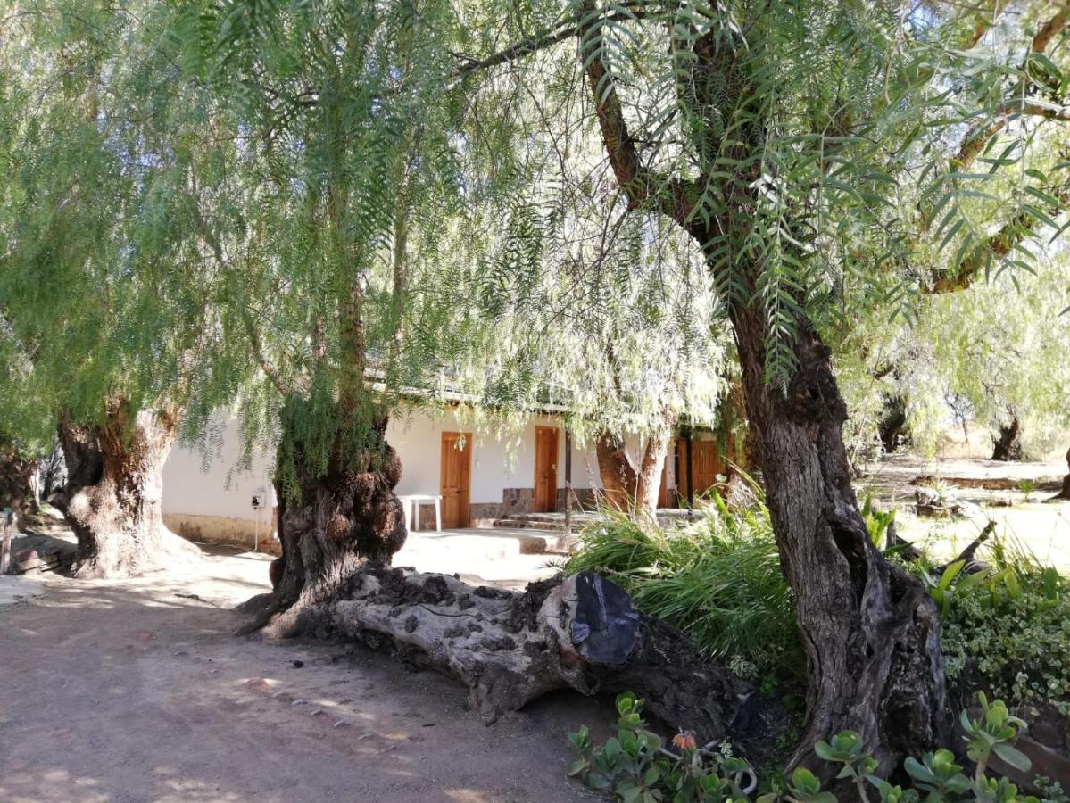 克拉多克 Doornfontein Guest Farm酒店 外观 照片